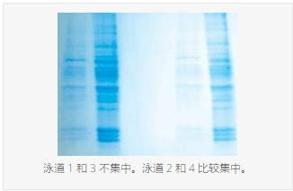 ProtoGel 样品制备试剂盒信息介绍