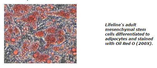 lifelinecelltech油红O染色试剂盒信息表