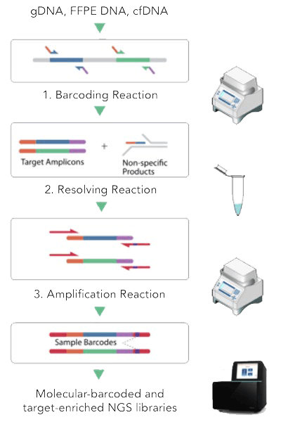 CleanPlex &#174;  UMI 技术——用于检测低频等位基因的基于扩增子的分子条形码