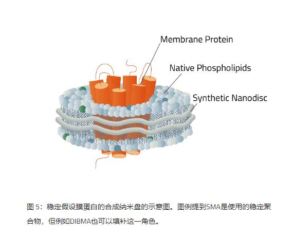 合成纳米盘介绍及纳米盘的选择