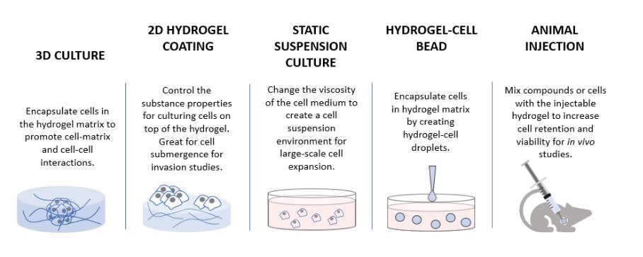 VitroGel 水凝胶的多种 3D 细胞培养方法和应用