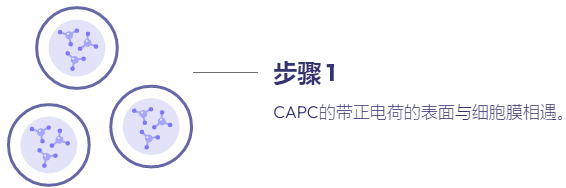 封堵两亲性肽胶体（CAPC&trade;️）详细介绍