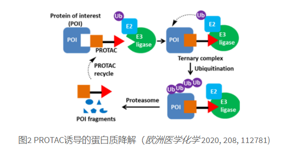 PROTACs简介