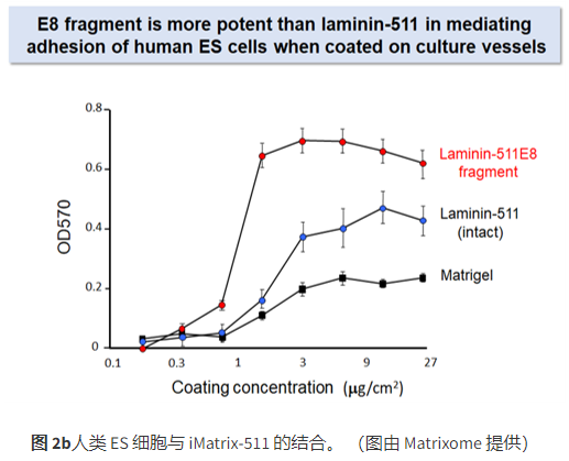 重组人层粘连蛋白及其在细胞培养中的应该
