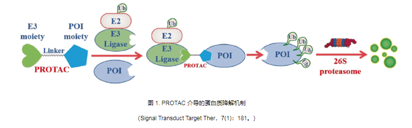 PROTAC的发展概述