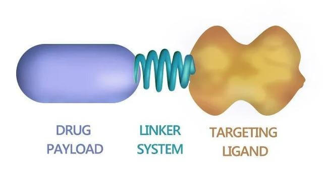 药物偶联物简介