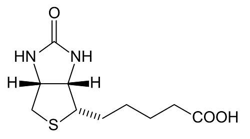 什么是生物素化？