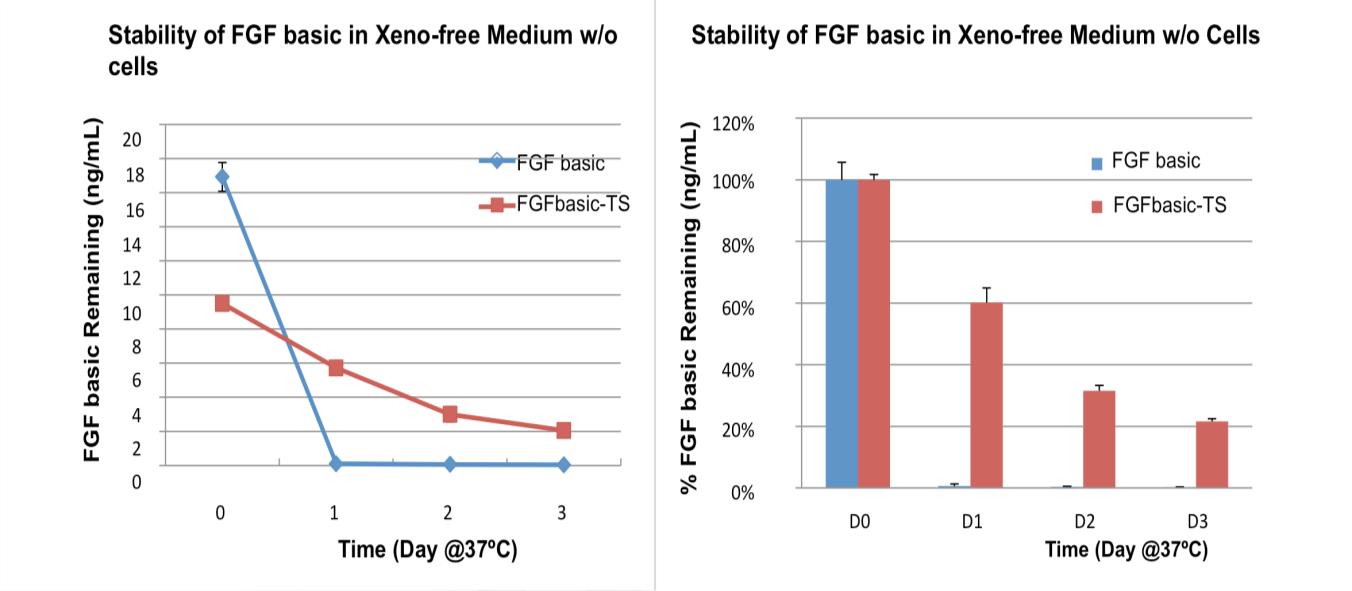 用于干细胞培养的耐热 FGF2介绍
