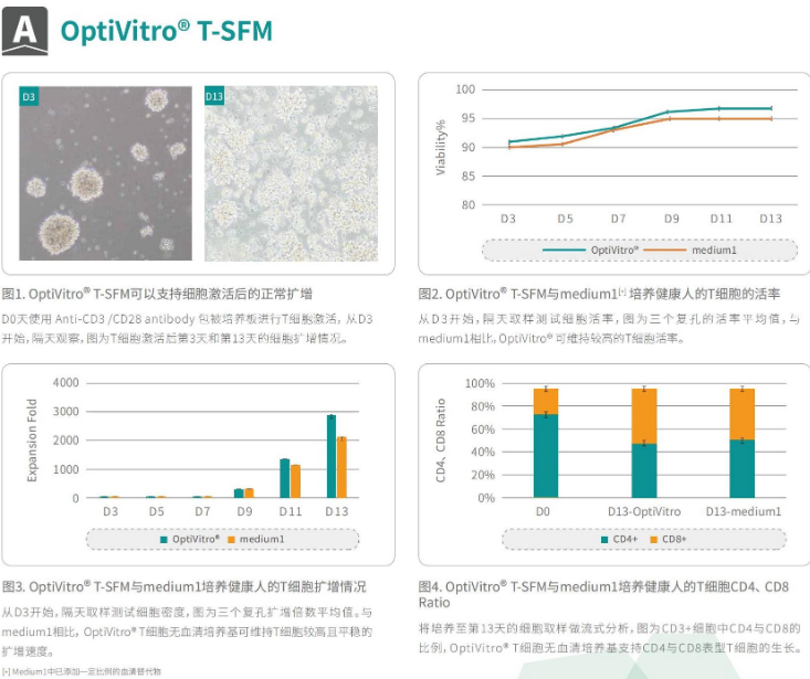 OptiVitro&#174; T细胞无血清培养基介绍
