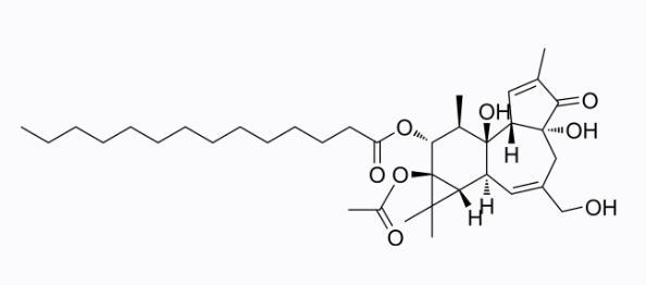佛波醇 12-肉豆蔻酸酯 13-乙酸酯  介绍