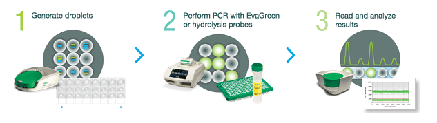 QX200 Droplet Digital PCR 系统概述