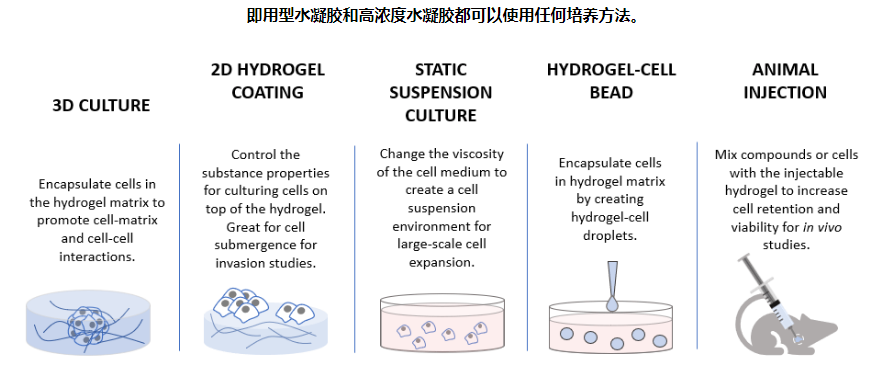 VITROGEL 水凝胶的多种细胞培养方法