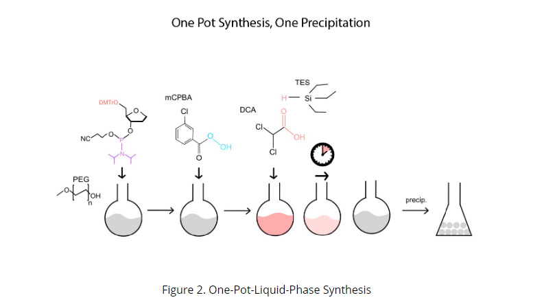 亚磷酰胺Phosphoramidites（amidite）介绍