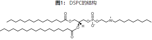 broadpharm辅助脂质简介