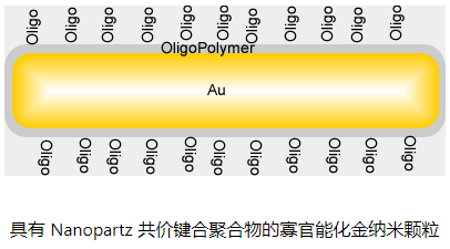 Nanopartz Oligo 功能化金纳米粒子应用