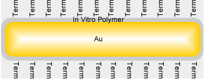 nanopartz抗体负荷估计
