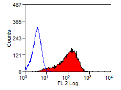 抗 DLL1 抗体 : 仓鼠 DELTA-LIKE PROTEIN 1 单克隆抗体概述