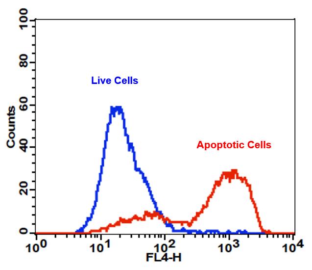 Cell Meter  APC-Annexin V细胞凋亡检测试剂盒 适合于流式细胞仪