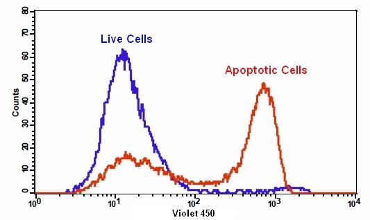 Cell Meter 磷脂酰丝氨酸细胞凋亡检测试剂盒 蓝色荧光 405nm激发