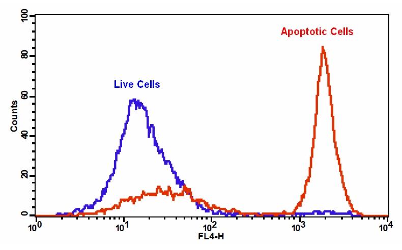 Cell Meter 磷脂酰丝氨酸细胞凋亡检测试剂盒 红色荧光 适合于流式细胞检测