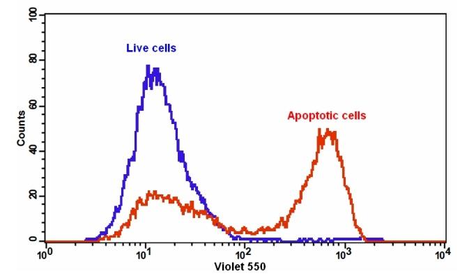 Cell Meter Annexin V凋亡检测试剂盒 橙色荧光 405nm激发