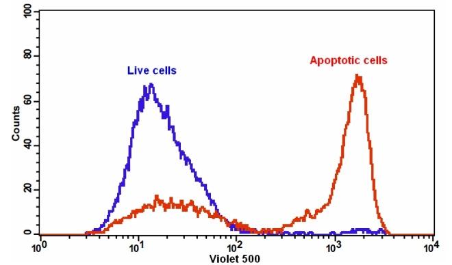 Cell Meter Annexin V凋亡检测试剂盒 绿色荧光 405nm激发