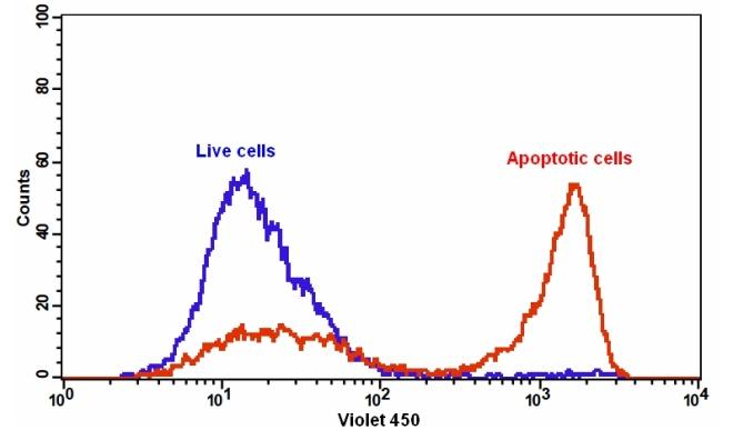 Cell Meter Annexin V凋亡检测试剂盒 蓝色荧光 405nm激发