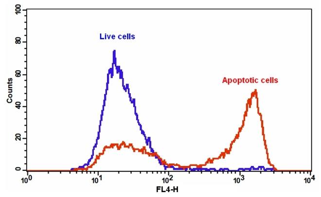 Cell Meter Annexin V凋亡检测试剂盒 深红色荧光 适合流式细胞检测