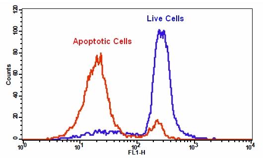 Cell Meter 细胞内谷胱甘肽GSH检测试剂盒 适合流式细胞检测
