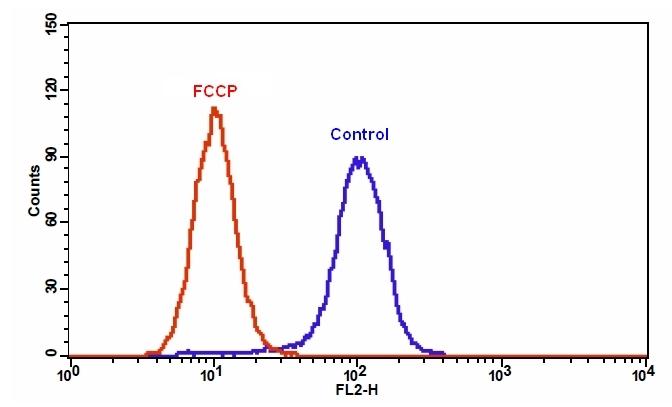 Cell Meter 线粒体膜电位检测试剂盒 橙色荧光 适合流式细胞检测