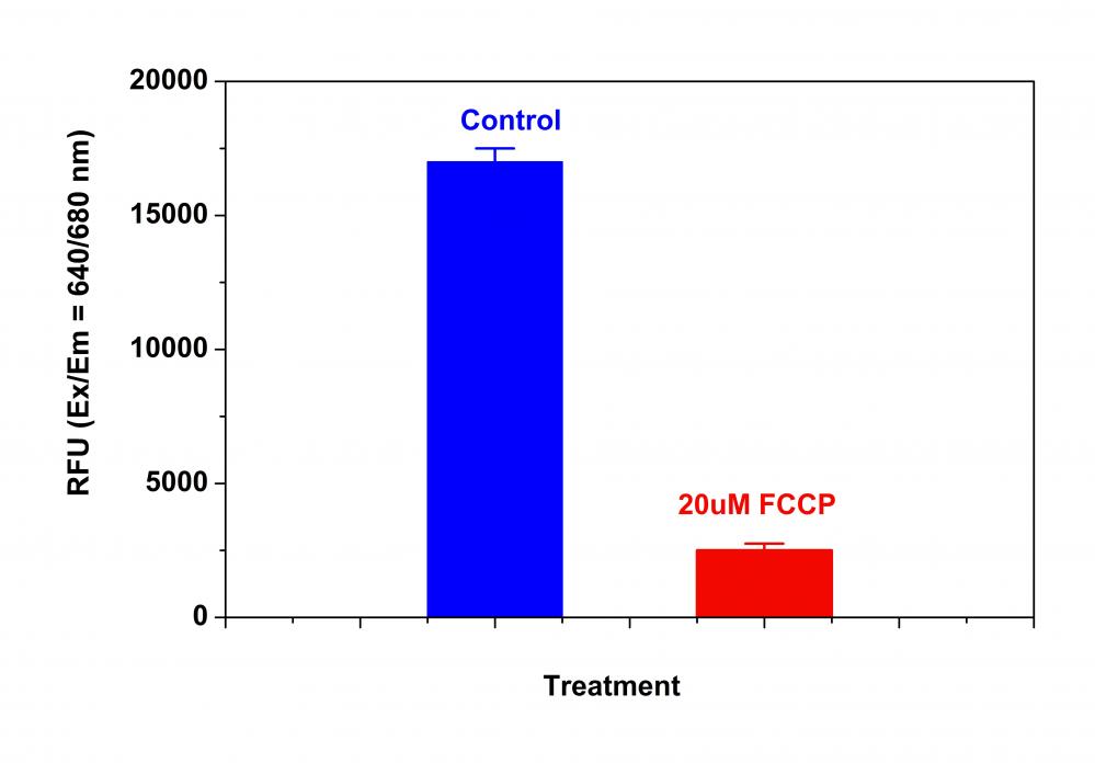 Cell Meter 线粒体膜电位近红外检测试剂盒 适合微孔板检测