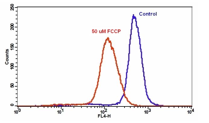 Cell Meter 线粒体膜电位近红外检测试剂盒 适合流式细胞检测