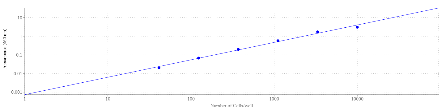 Cell Meter 比色法WST-8细胞定量试剂盒
