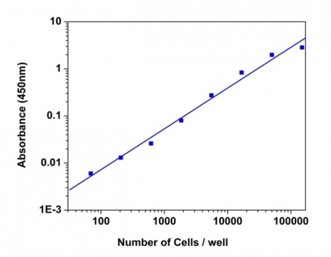 Cell Meter 比色法WST-8细胞定量试剂盒