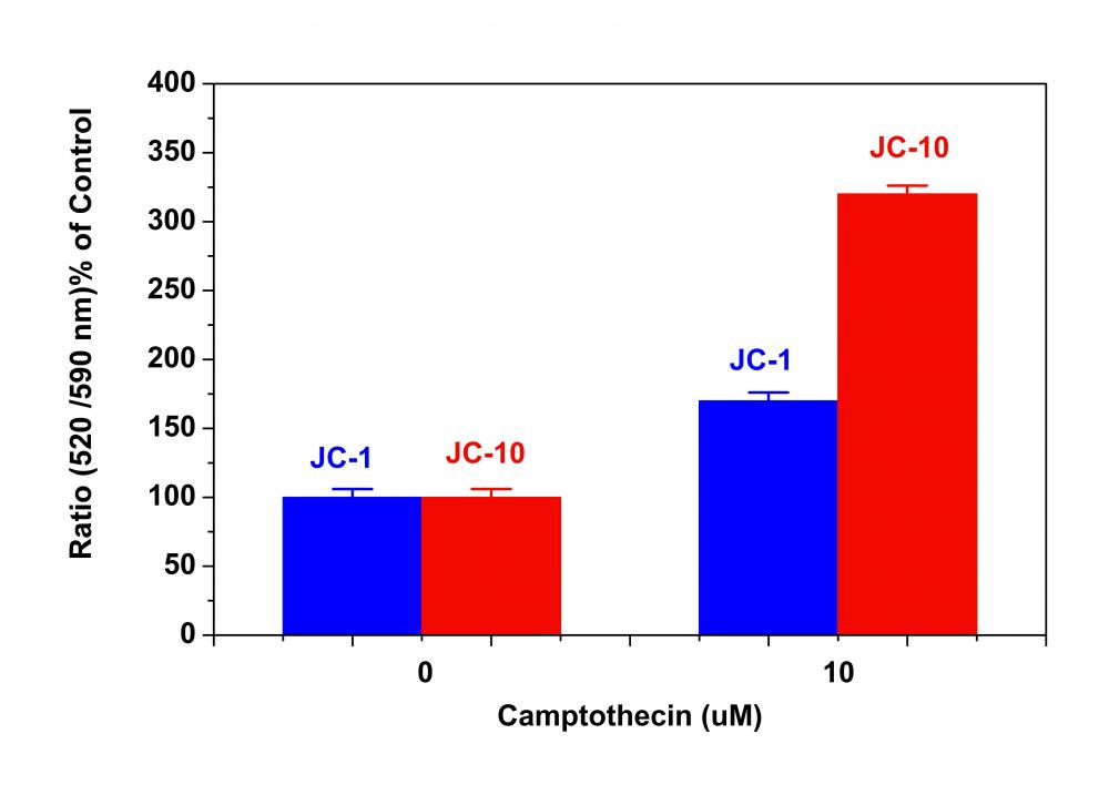 线粒体膜电位荧光探针JC-10 JC-1的卓越代替品