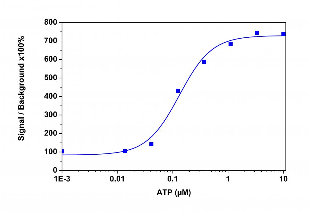 新型钙离子荧光探针Calbryte590AM *细胞渗透性*