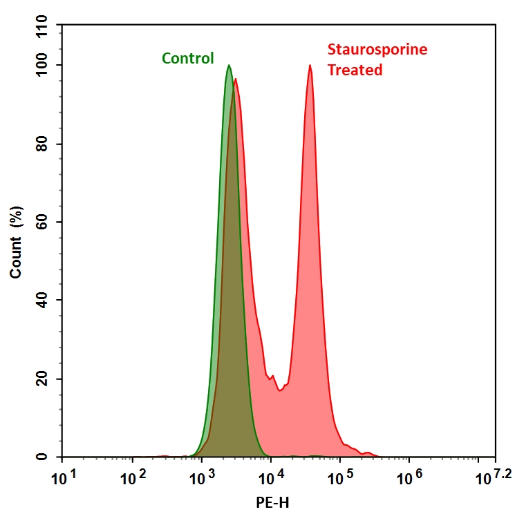 Cell Meter 活细胞Caspase 3/7结合检测试剂盒 红色荧光