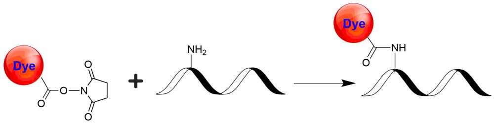 Tide Fluor 6WS琥珀酰亚胺酯  Cy5.5的代替品