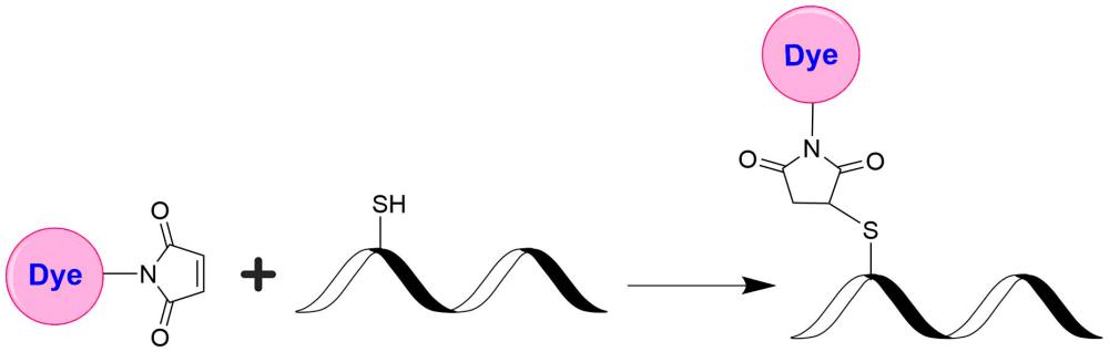 荧光淬灭剂Tide Quencher 6WS马来酰亚胺