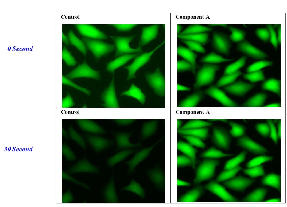 FluoroQuest抗淬灭试剂盒II 适合微孔板成像
