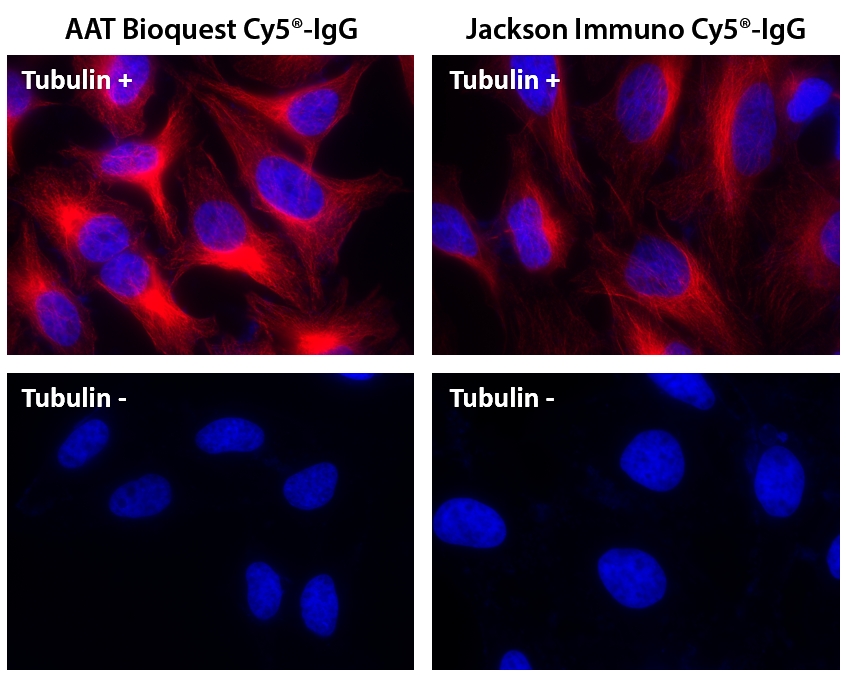 Cy5®羊抗鼠免疫球蛋白(H+L)