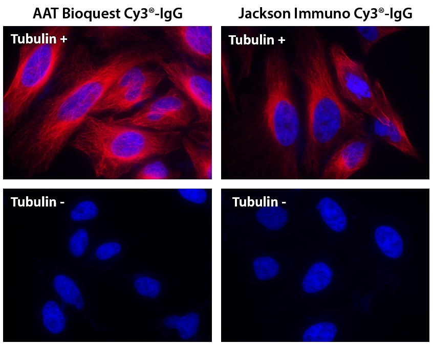 Cy3®羊抗鼠免疫球蛋白(H+L)