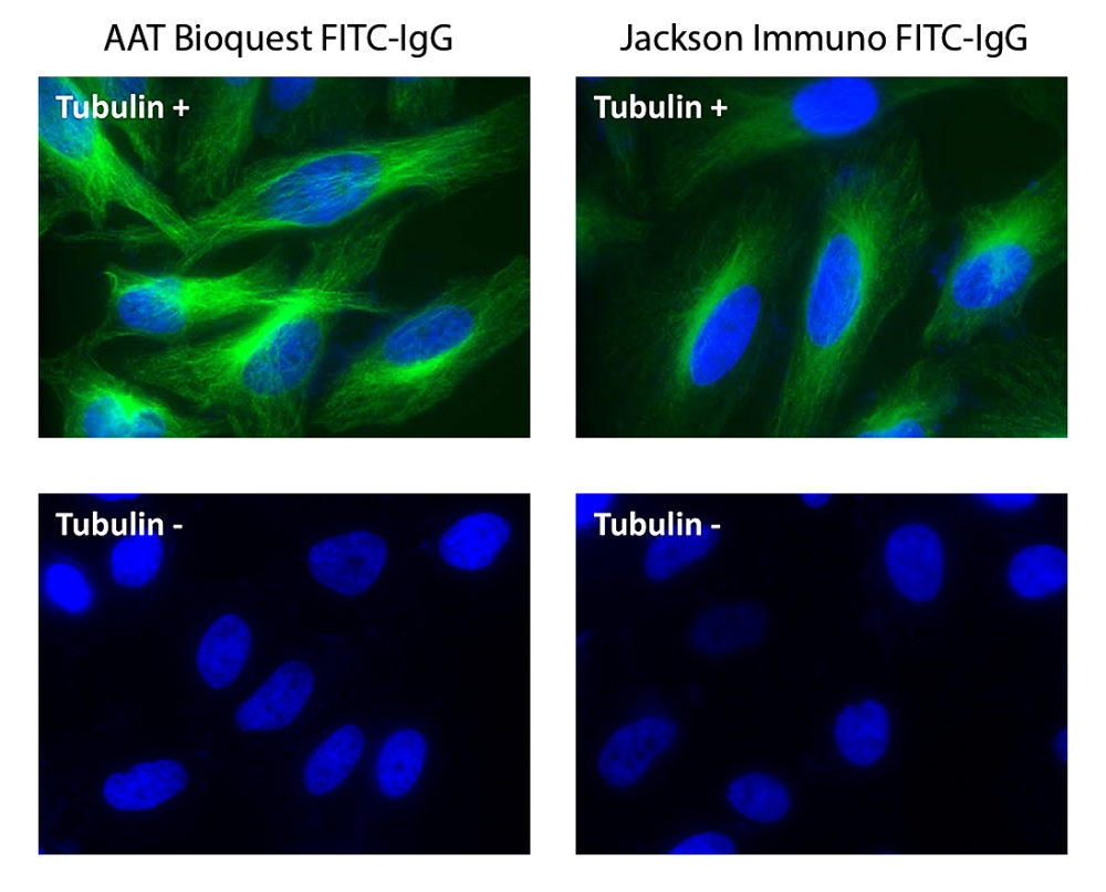 FITC羊抗鼠免疫球蛋白(H+L)