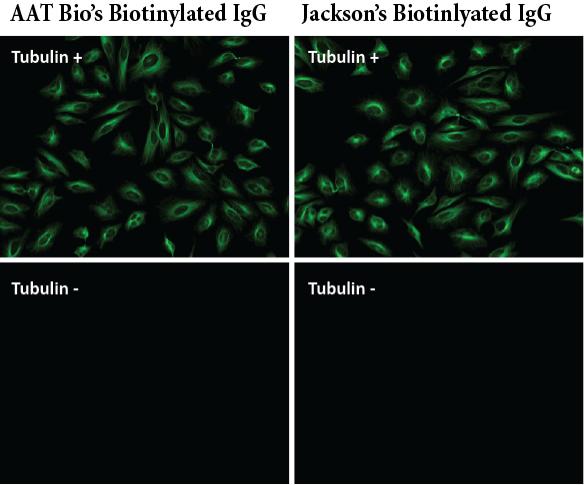 生物素-标记羊抗鼠免疫球蛋白(H+L)
