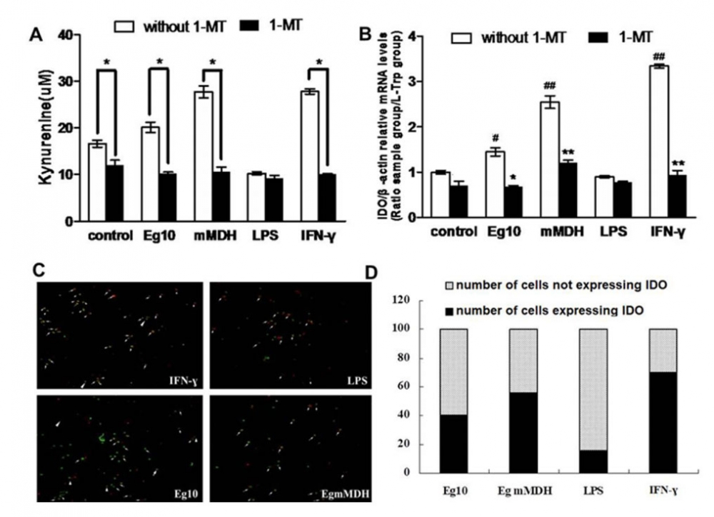 iFluor 647羊抗鼠免疫球蛋白(H+L)