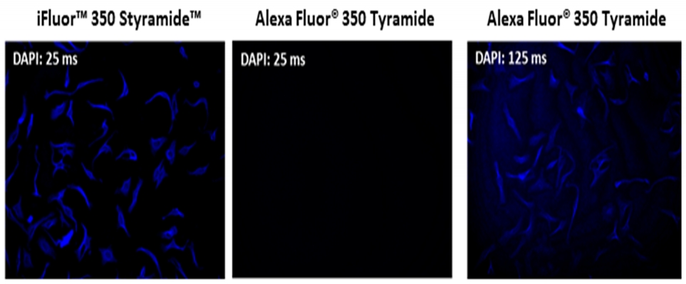iFluor 680 Styramide * Alexa Fluor 680酪胺的优异替代品*