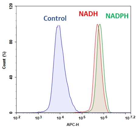 Cell Meter 细胞内NADH / NADPH流式细胞分析试剂盒 深红色荧光