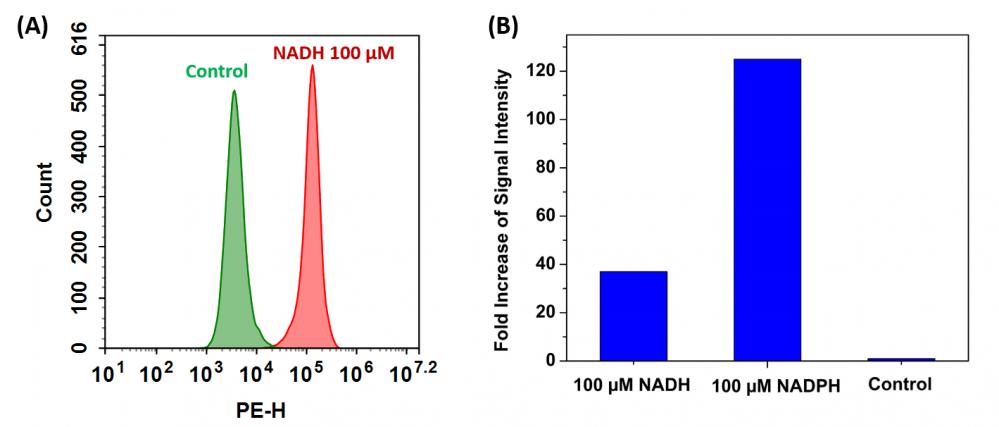 Cell Meter 胞内NADH / NADPH流式细胞分析试剂盒