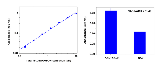 Amplite NAD/NADH比率检测试剂盒(比色法)