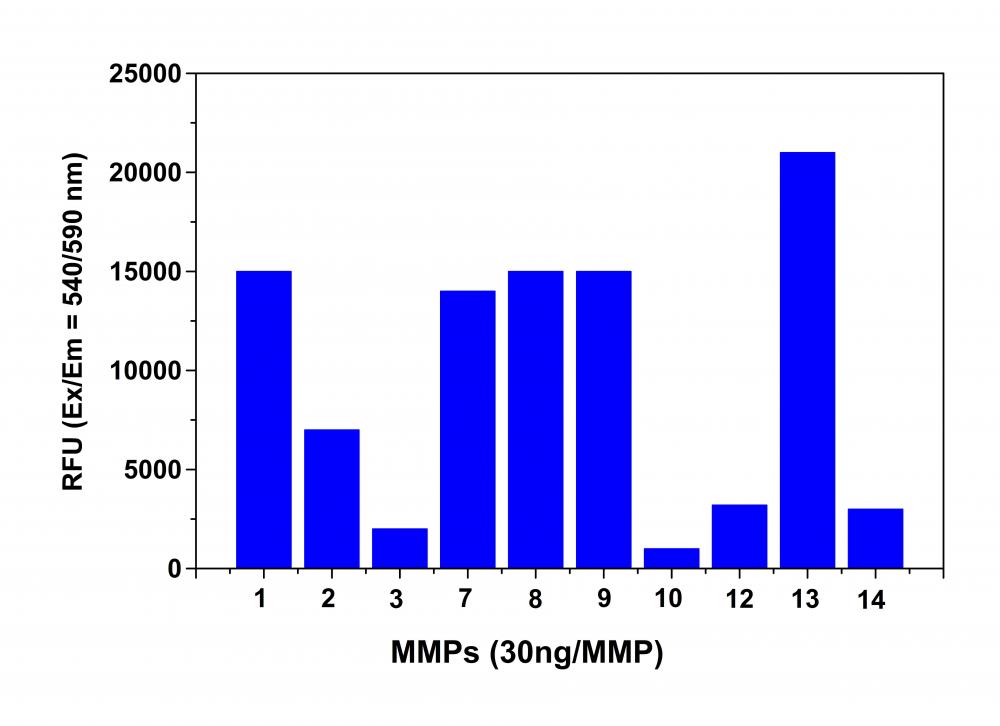 Amplite 荧光法通用型基质金属蛋白酶MMP活性检测试剂盒 红色荧光